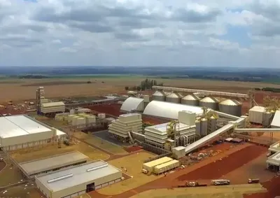 Atualmente, MS conta com seis ind&uacute;strias de esmagamento em opera&ccedil;&atilde;o e uma s&eacute;tima unidade em constru&ccedil;&atilde;o
