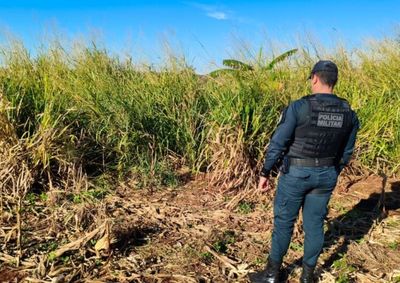 O cad&aacute;ver estava ao lado de uma planta&ccedil;&atilde;o de milho