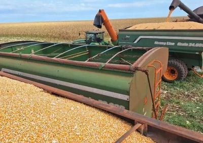 O Estado responde por 8,4% da produ&ccedil;&atilde;o nacional, atr&aacute;s apenas de Mato Grosso, Paran&aacute;, Rio Grande do Sul e Goi&aacute;s