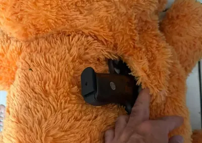 Entre as armas apreendidas est&atilde;o uma pistola e uma espingarda