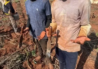 Os trabalhadores resgatados s&atilde;o brasileiros, paraguaios e ind&iacute;genas