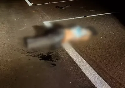 De acordo com as primeiras informa&ccedil;&otilde;es, a v&iacute;tima tentava atravessar a rodovia quando foi atingida por um ve&iacute;culo