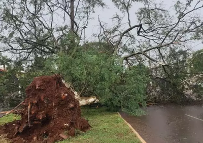 Ao todo, foram identificados 524 tornados em mais de 280 munic&iacute;pios brasileiros entre junho de 2018 e setembro de 2026