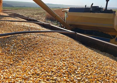 Conforme os t&eacute;cnicos do setor, Mato Grosso do Sul vive momento de transi&ccedil;&atilde;o no campo