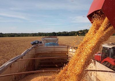 O volume supera em 18,2% o registrado no ano anterior