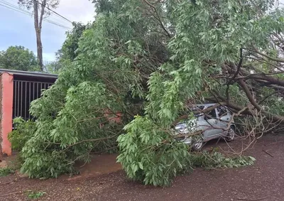 Em Navira&iacute;, o temporal tamb&eacute;m provocou estragos no Conjunto Habitacional Nelson Trad