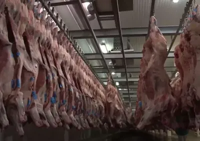O levantamento considera carnes bovinas frescas, refrigeradas e congeladas