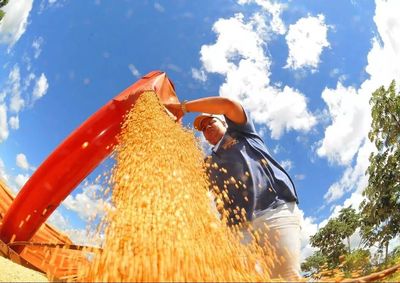 Com o resultado, o Estado mant&eacute;m a quinta posi&ccedil;&atilde;o entre os maiores produtores brasileiros