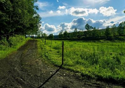 Cadastro Ambiental Rural est&aacute; previsto no novo C&oacute;digo Florestal, como base de dados para integrar informa&ccedil;&otilde;es em todo o Pa&iacute;s