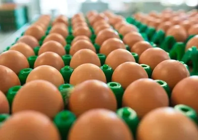 "Eu comprava uma cartela com 30 ovos toda semana, mas agora estou comprando a cada 15 dias e tento substituir com outras coisas&rdquo;