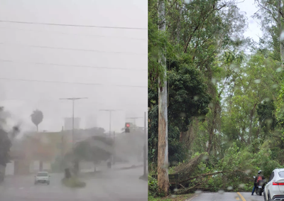 Defesa Civil refor&ccedil;a os cuidados diante da previs&atilde;o de chuva intensa, rajadas de vento e risco de alagamentos em Cabre&uacute;va e regi&atilde;o