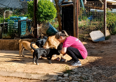 Ellen Mercado atua de forma volunt&aacute;ria com castra&ccedil;&otilde;es, ra&ccedil;&atilde;o, lares tempor&aacute;rios e cuidados veterin&aacute;rios para c&atilde;es e gatos em Cabre&uacute;va