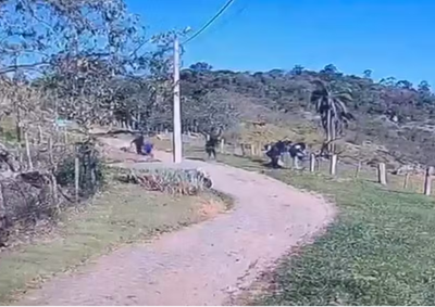 Homem tinha mandado de pris&atilde;o tempor&aacute;ria de 30 dias em aberto e tamb&eacute;m &eacute; apontado como ligado a uma organiza&ccedil;&atilde;o criminosa
