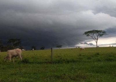 Alerta inclui risco de granizo enxurradas e baixa visibilidade nas vias