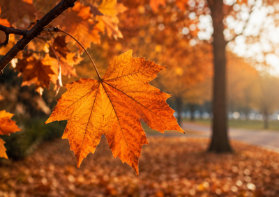 Temperaturas seguem t&iacute;picas do outono, com m&iacute;nimas mais baixas ao amanhecer e tardes de clima ameno