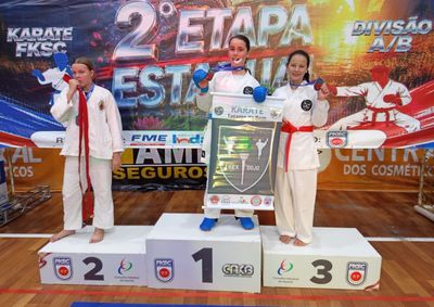 Atletas do Ilex Dojo conquistaram 23 medalhas e garantiram o 6&ordm; lugar geral entre 19 entidades participantes