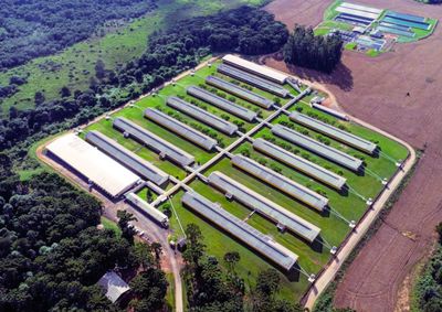 Recursos ser&atilde;o destinados &agrave; constru&ccedil;&atilde;o de uma granja-n&uacute;cleo voltada ao desenvolvimento gen&eacute;tico e ao aumento da produtividade