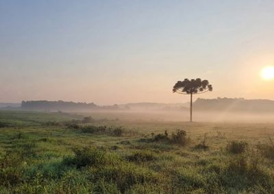 Term&ocirc;metros caem neste fim de semana e m&iacute;nimas devem ficar entre 7&deg;C e 10&deg;C na regi&atilde;o no in&iacute;cio da pr&oacute;xima semana