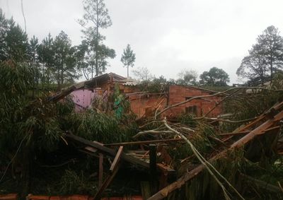 Casas foram destelhadas, &aacute;rvores de grande porte ca&iacute;ram e a rede el&eacute;trica tamb&eacute;m foi afetada em S&atilde;o Jo&atilde;o dos Cavalheiros