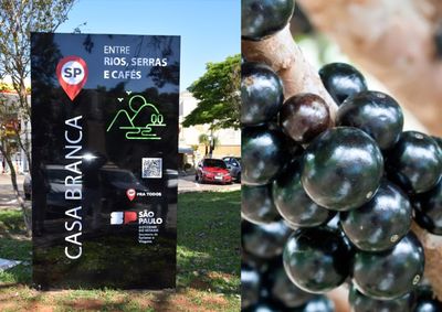 A cidade est&aacute; no cora&ccedil;&atilde;o da regi&atilde;o com 12 destinos de ecoturismo, praia fluvial, voo livre, ninho da jabuticaba, caf&eacute; de qualidade e vinhos premiados