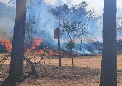 Casa Branca inicia Opera&ccedil;&atilde;o Estiagem; veja como comunicar focos de inc&ecirc;ndio &agrave; Defesa Civil
