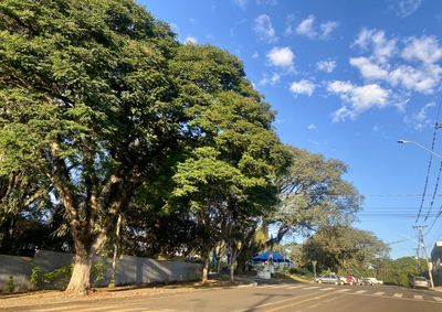 Inverno da tr&eacute;gua e massa quente avan&ccedil;a registrando aumento de temperaturas com tardes agrad&aacute;veis 
