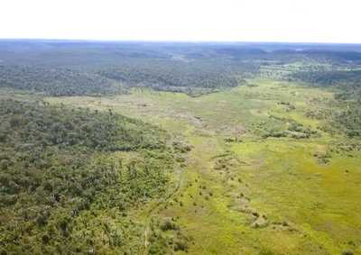 Coelho Neto, Duque Bacelar, Aldeias Altas e Afonso Cunha est&atilde;o entre os munic&iacute;pios maranhenses contemplados com a destina&ccedil;&atilde;o de &aacute;reas para reforma agr&aacute;ria