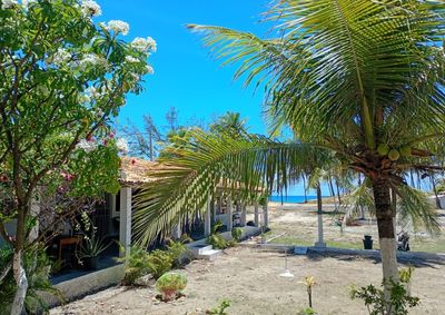 Cor do Mar Su&iacute;tes passou por um processo de renova&ccedil;&atilde;o interna, inaugurando novos quartos e modernizando su&iacute;tes