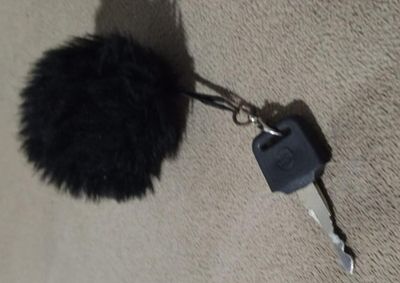 Propriet&aacute;rio pode entrar em contato pelo telefone informado para recuperar o objeto