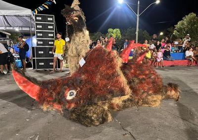 Pra&ccedil;a Ars&ecirc;nio Mendes recebeu concurso de fantasias, apresenta&ccedil;&otilde;es de estudantes e shows musicais no &uacute;ltimo dia do evento