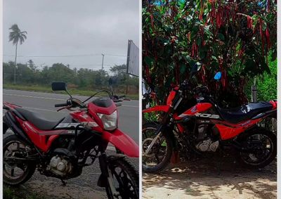 HONDA NXR