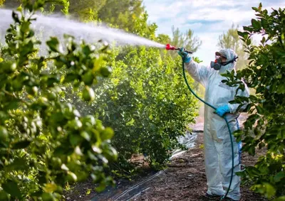 Os agrot&oacute;xicos s&atilde;o subst&acirc;ncias utilizadas na agricultura, &aacute;reas de pastagens, ambientes urbanos, h&iacute;dricos e industriais
