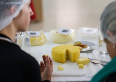 Dos cerca de 13 milh&otilde;es de litros de leite produzidos diariamente no Estado, 6 milh&otilde;es s&atilde;o destinados &agrave; fabrica&ccedil;&atilde;o de queijos