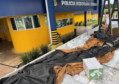 Produtos de origem estrangeira estavam sem registro e foram encontrados em caminh&atilde;o abordado em Alto Para&iacute;so.