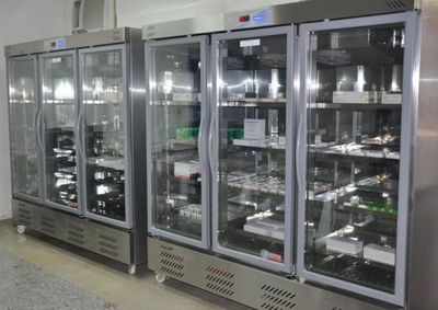 Criminosos invadiram unidade pelo banheiro, levaram eletr&ocirc;nicos e desligaram energia, prejudicando conserva&ccedil;&atilde;o de imunizantes.