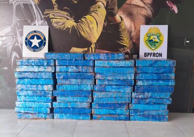 Motorista fugiu por planta&ccedil;&atilde;o ap&oacute;s persegui&ccedil;&atilde;o policial; droga foi levada para Cruzeiro do Oeste.