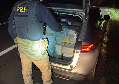 Motorista fugiu para &aacute;rea de mata ap&oacute;s persegui&ccedil;&atilde;o da PRF em Perobal; ve&iacute;culo tinha placas clonadas.
