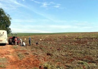 A&ccedil;&atilde;o do Minist&eacute;rio P&uacute;blico do Trabalho, com apoio do BPFron, identificou trabalhadores explorados em lavouras de mandioca; empregador foi preso.