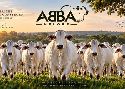 Para a sele&ccedil;&atilde;o de matrizes, fertilidade, habilidade materna e capacidade de produzir bons bezerros s&atilde;o caracter&iacute;sticas que caminham lado a lado com a gen&eacute;t