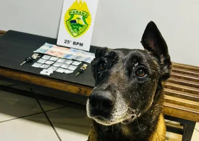 Dois jovens de 20 anos, alvos de um mandado de busca e apreens&atilde;o, foram abordados e detidos no Jardim S&atilde;o Crist&oacute;v&atilde;o.