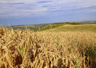 O documento mobiliza os &oacute;rg&atilde;os estaduais, sob coordena&ccedil;&atilde;o da Defesa Civil, para atuarem em a&ccedil;&otilde;es de resposta, reabilita&ccedil;&atilde;o e reconstru&ccedil;&atilde;o dos cen&aacute;rios.