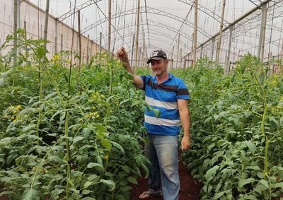 Resultado extraordin&aacute;rio supera m&eacute;dia nacional e destaca a atua&ccedil;&atilde;o do IDR-Paran&aacute; no fortalecimento da agricultura familiar.