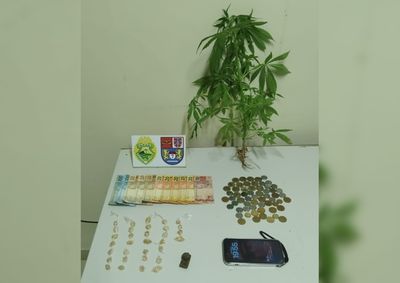 Durante a abordagem, policiais apreenderam 34 pedras de crack, por&ccedil;&otilde;es de maconha, dinheiro e um p&eacute; de maconha cultivado no quintal da resid&ecirc;ncia.