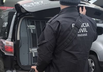 A&ccedil;&atilde;o da Pol&iacute;cia Civil com apoio da For&ccedil;a Nacional cumpriu mandados de busca e pris&atilde;o contra suspeitos de envolvimento com o tr&aacute;fico de drogas na regi&atilde;o.