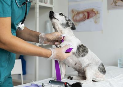 Com carga horaria de 120 horas, a qualifica&ccedil;&atilde;o profissional tem apenas 20 vagas dispon&iacute;veis e aulas presenciais