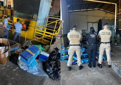 Entorpecentes foram apreendidos pela Pol&iacute;cia Civil, Pol&iacute;cia Militar e PRF; procedimento teve acompanhamento da Vigil&acirc;ncia Sanit&aacute;ria.