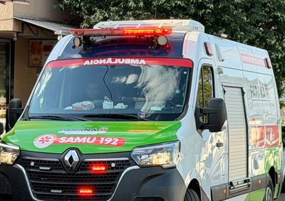 Casal foi resgatado pela Defesa Civil no Jardim Molivera e encaminhado a Umuarama; tr&ecirc;s enxames foram retirados do local.