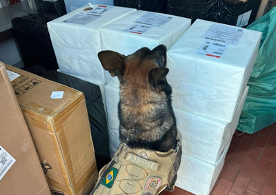 Droga estava distribu&iacute;da em nove caixas prontas para envio ao Rio Grande do Norte; Pol&iacute;cia Federal investiga respons&aacute;veis pela remessa.