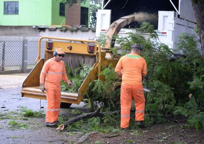 Mutir&atilde;o re&uacute;ne diversas secretarias, refor&ccedil;a combate &agrave; dengue, retira entulhos e faz manuten&ccedil;&atilde;o de &aacute;reas p&uacute;blicas para reduzir riscos de alagamentos.