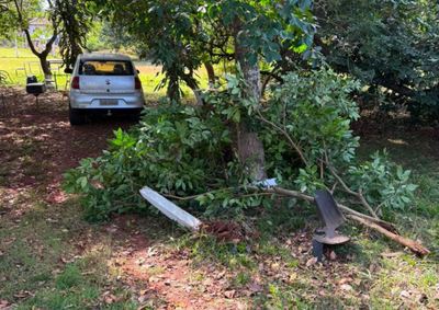Suspeito tentou escapar ap&oacute;s buscar carga vinda do Paraguai, perdeu o controle do ve&iacute;culo, bateu em uma &aacute;rvore e acabou preso pela PF e PM.